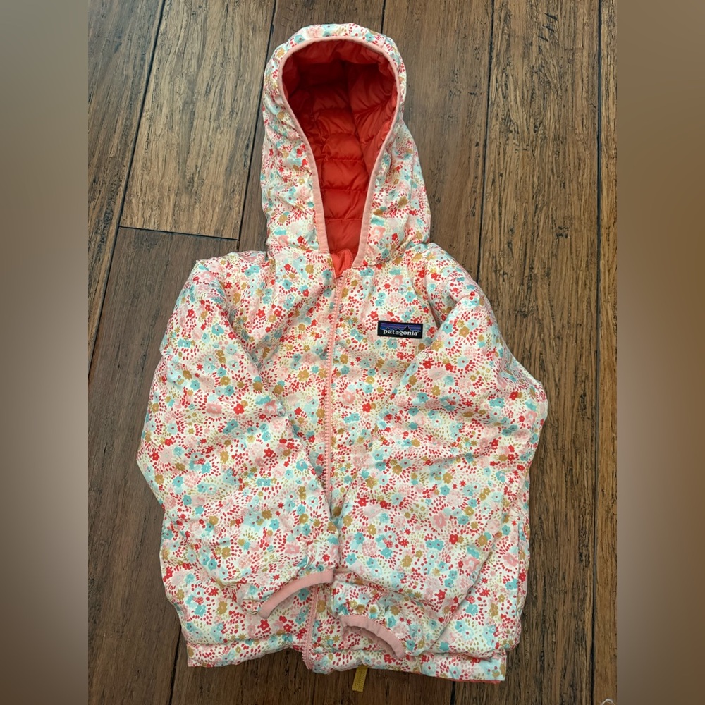 Patagonia Jacket